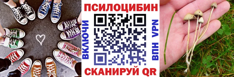 Купить  Боровичи  Галлюциногенные грибы MAGIC MUSHROOMS 